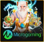 Slot Provider MicroGaming